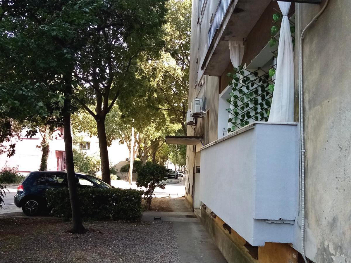 Apartment Puhov Zadar Ngoại thất bức ảnh